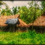 Cherai Alleppey Tour, Kerala 2N/3D ( 1N Cherai, 1N Alleppey )